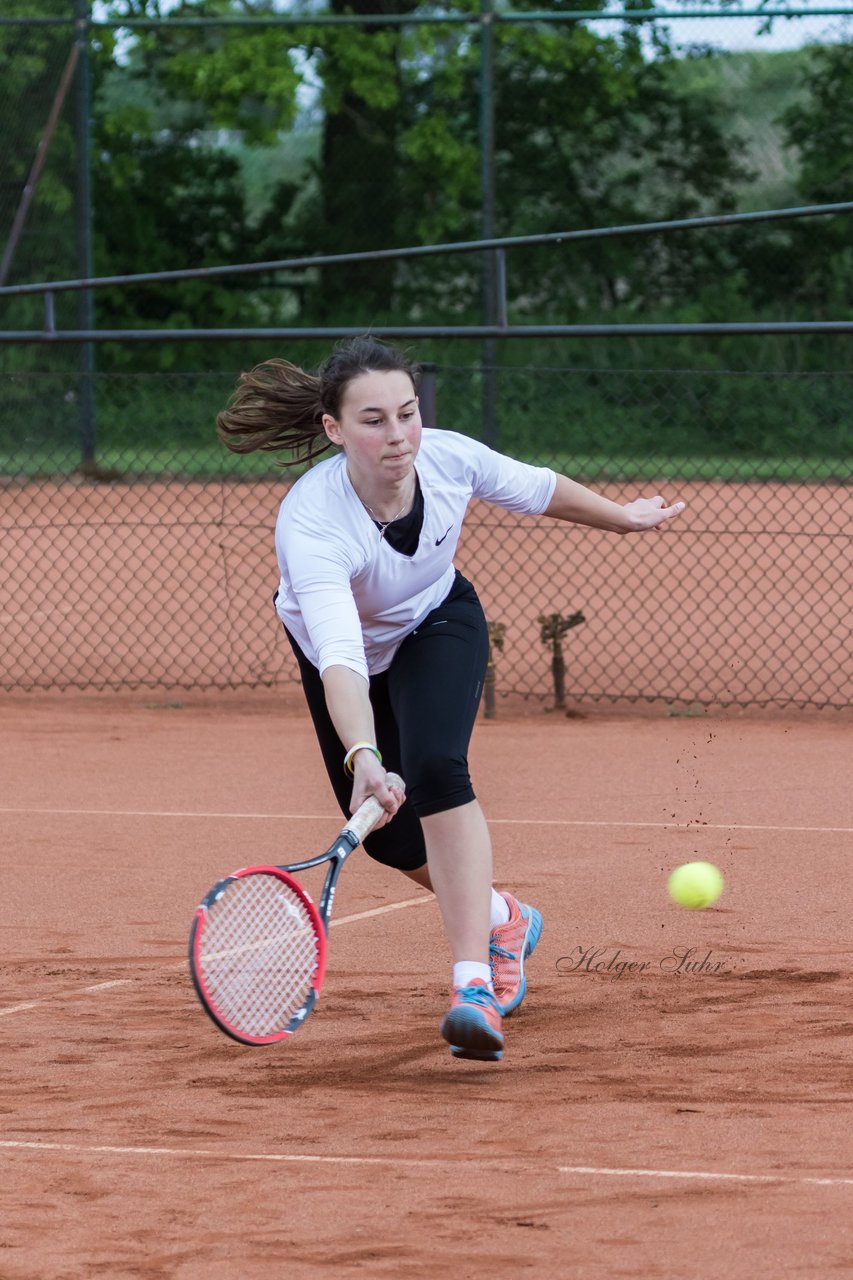 Bild 504 - NL VfL Westercelle - SVE Wiefelstede : Ergebnis: 8:1